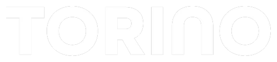 Torino logo